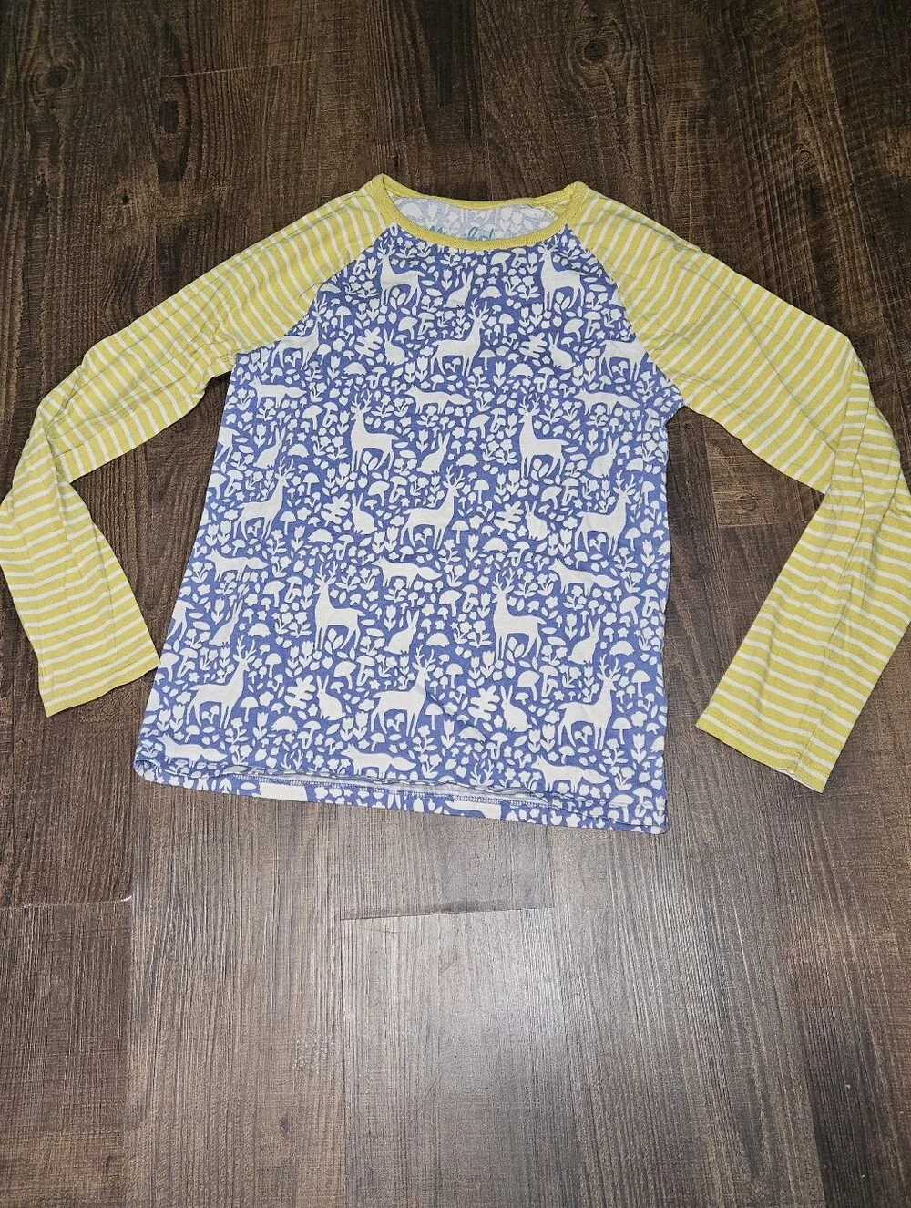 Mini Boden Woodland Mixie Long Sleeve Raglan Tee